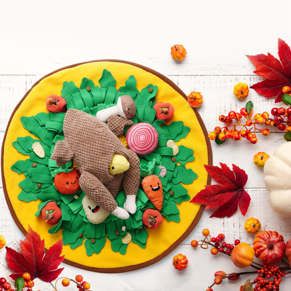 Nocciola carrot toy focused on durable design for lasting dog fun