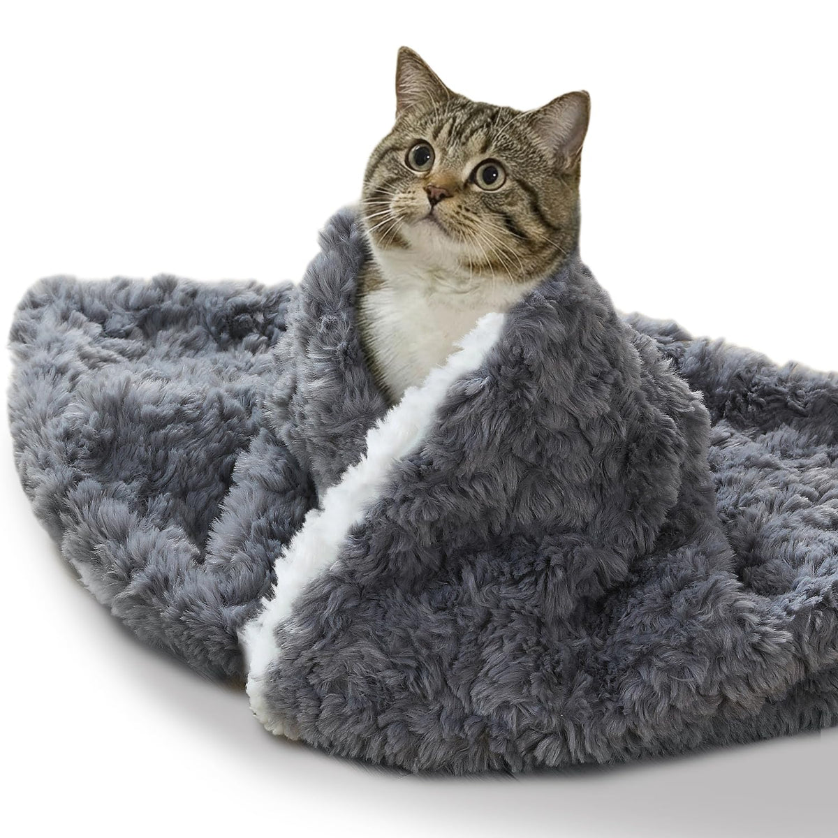 NODARKO heavyweight cat blanket delivers 460GSM warmth for chilly rooms