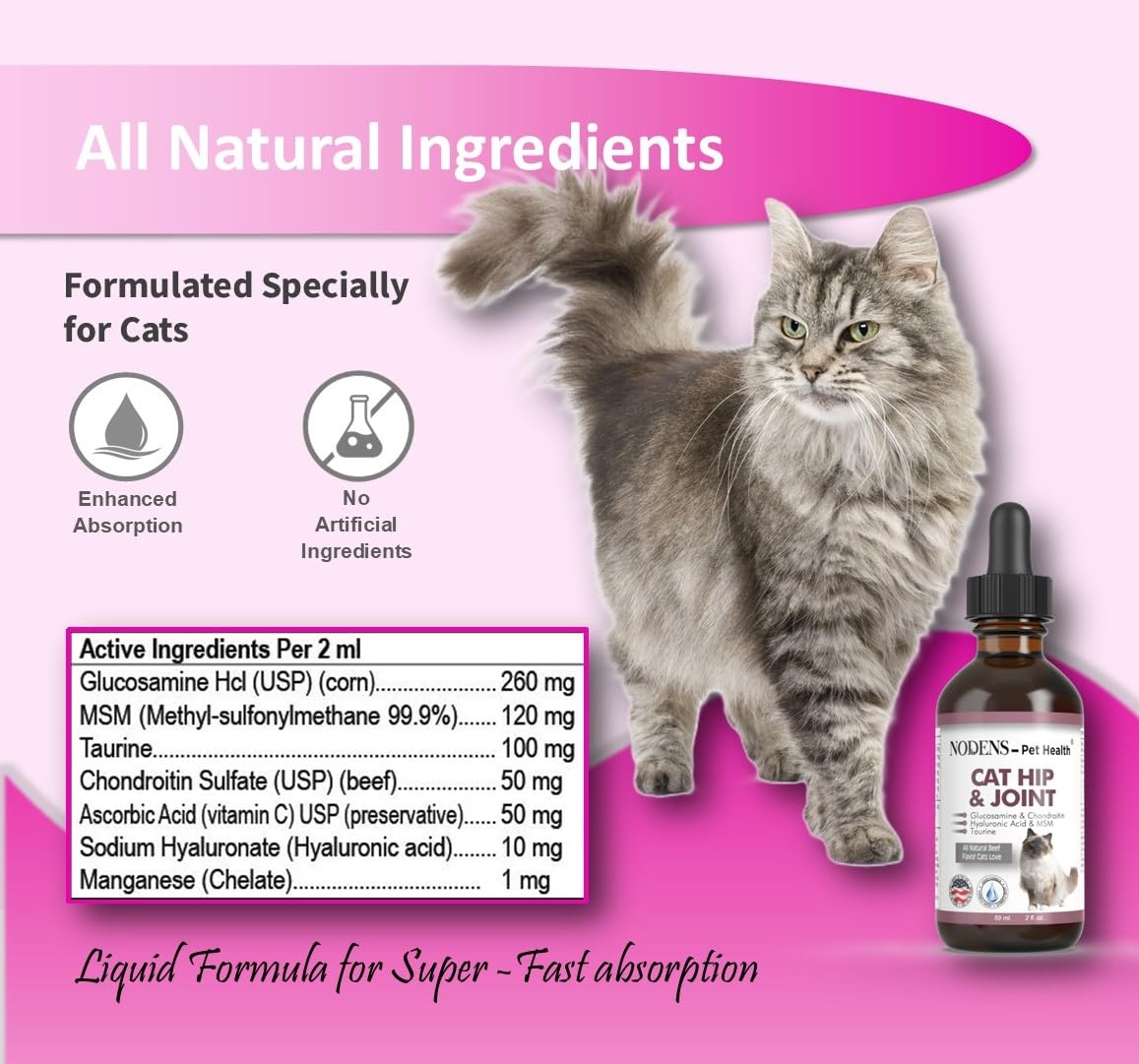 Cat enjoys a meal with Nodens joint supplement added
