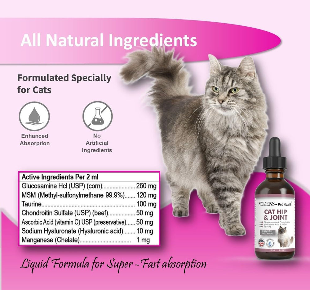 Cat enjoys a meal with Nodens joint supplement added