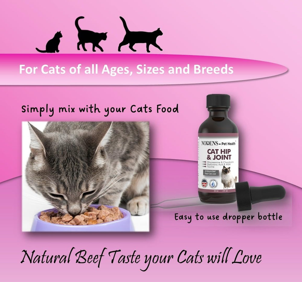 Senior cat playtime after starting Nodens joint formula