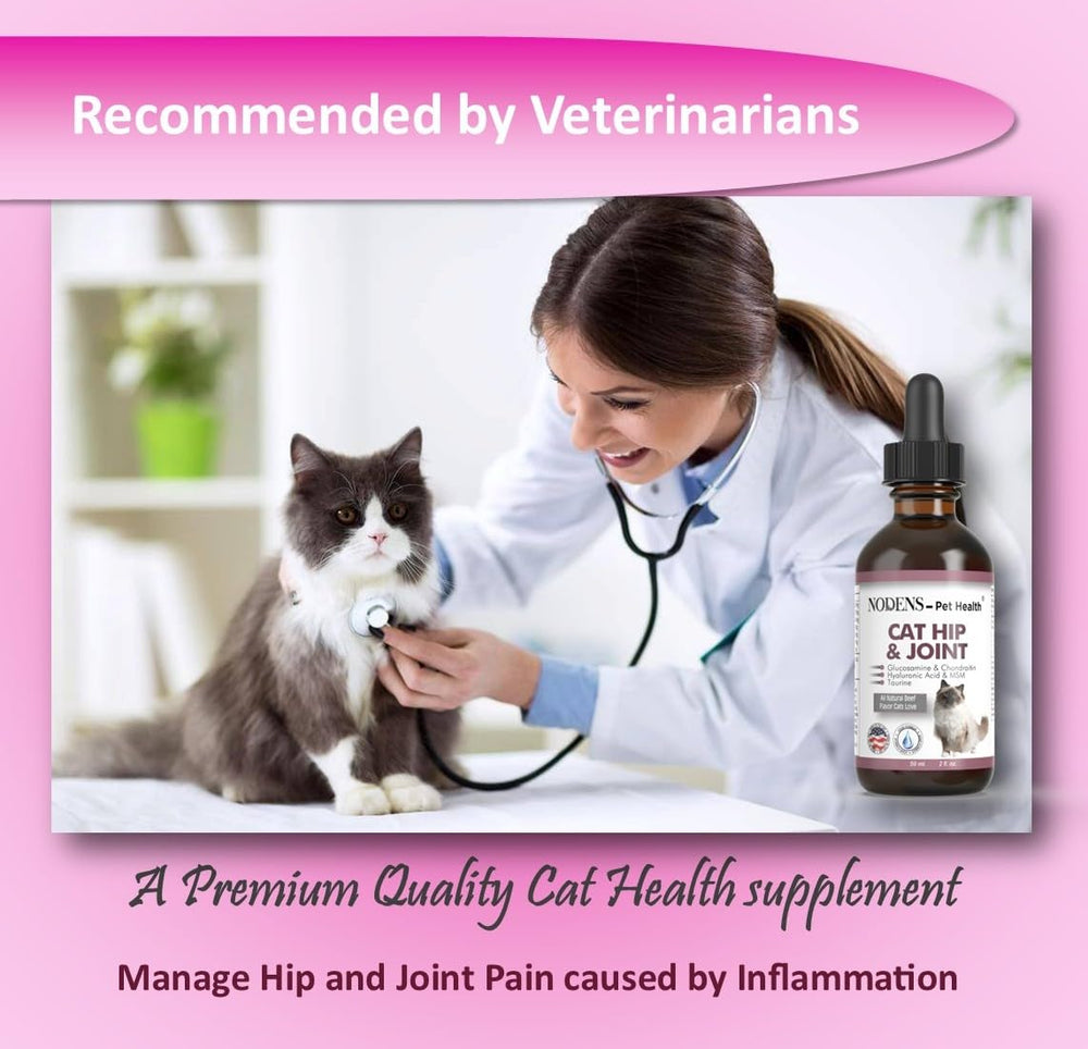 Measuring syringe shows precise Nodens dosing for cats
