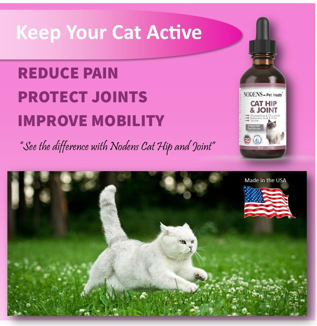 NODENS bottle label highlights glucosamine and chondroitin ingredients