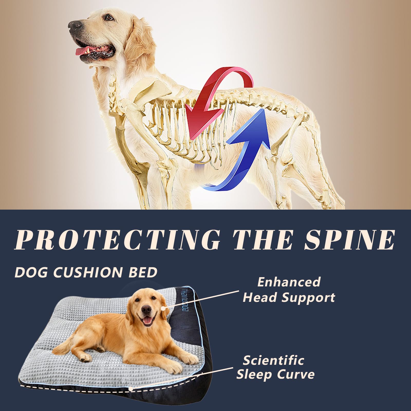 NOFKYNOXA easy-care spot-clean fabric maintains shape after washing.