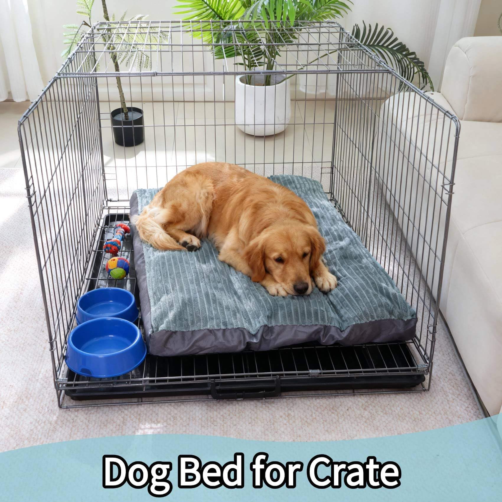 NOFKYNOXA portable travel bed demonstrates versatile use at home or in car.