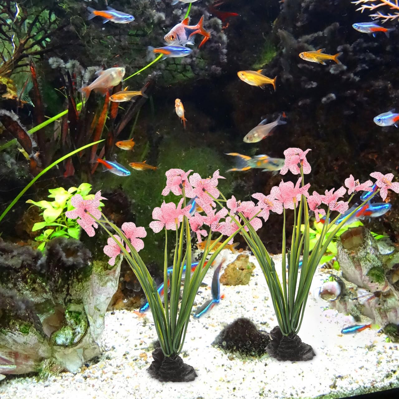 NOLITOY 2-piece pink plant set fits most freshwater and betta tanks.