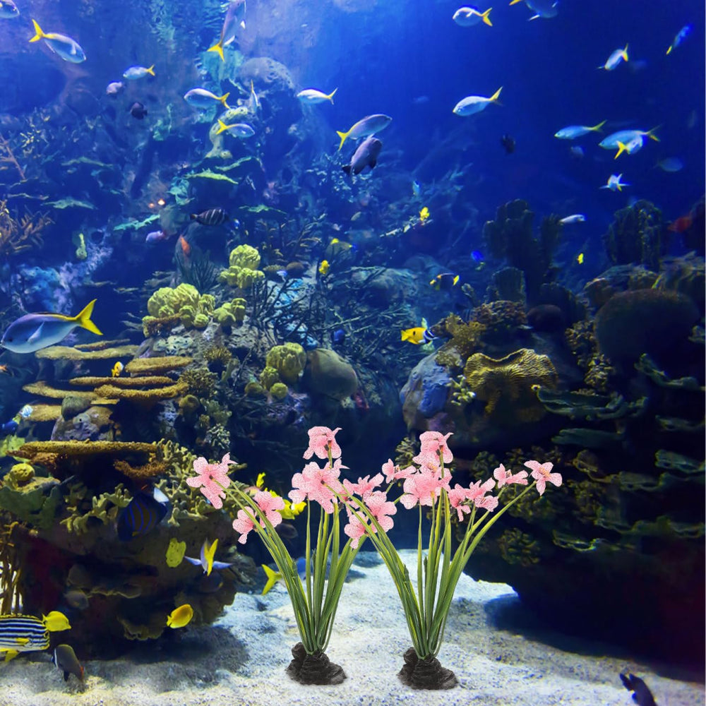 NOLITOY easy-install pink plants simplify tank setup and styling.