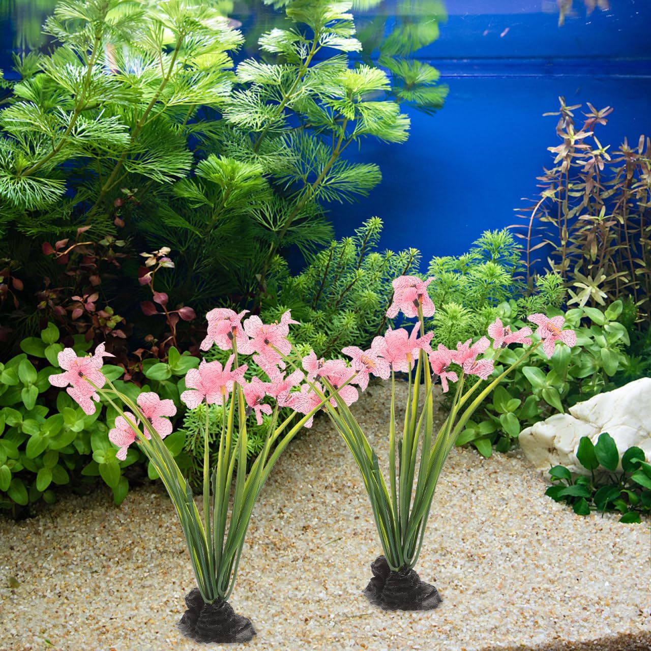 NOLITOY non-toxic plastic decor for long-lasting aquarium aesthetics.