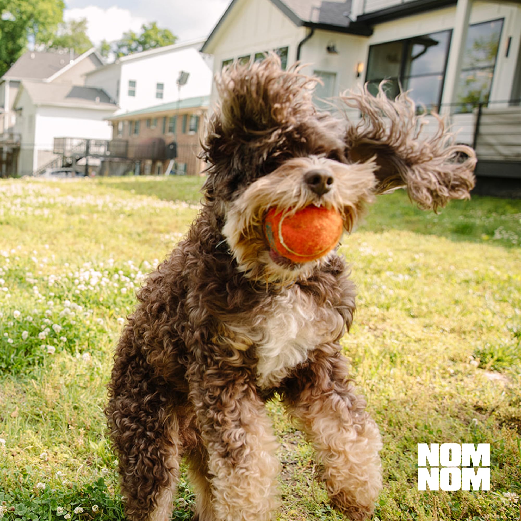 Batch-tested quality badge for Nom Nom Dog GI-Targeted Probiotic