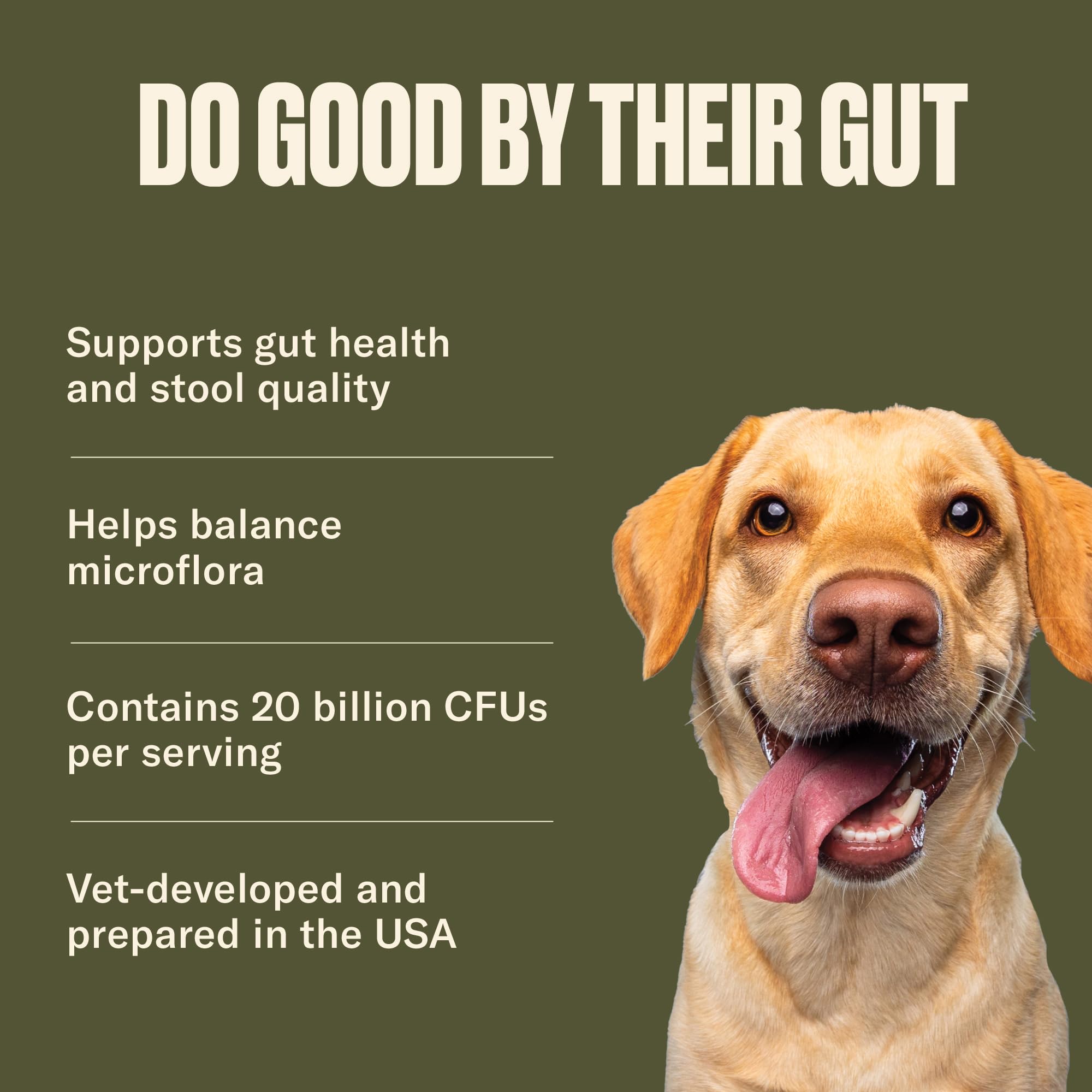 Happy dog at mealtime with Nom Nom GI-Targeted Probiotic supplement