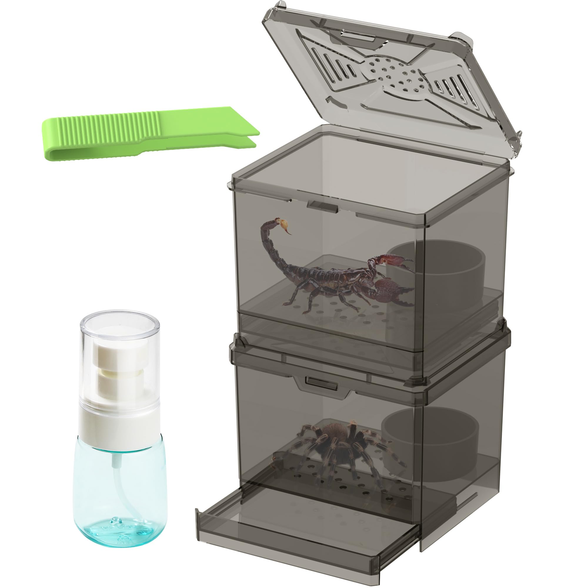 Nomoy Spider Habitat Kit secure lid helps prevent escapes during handling