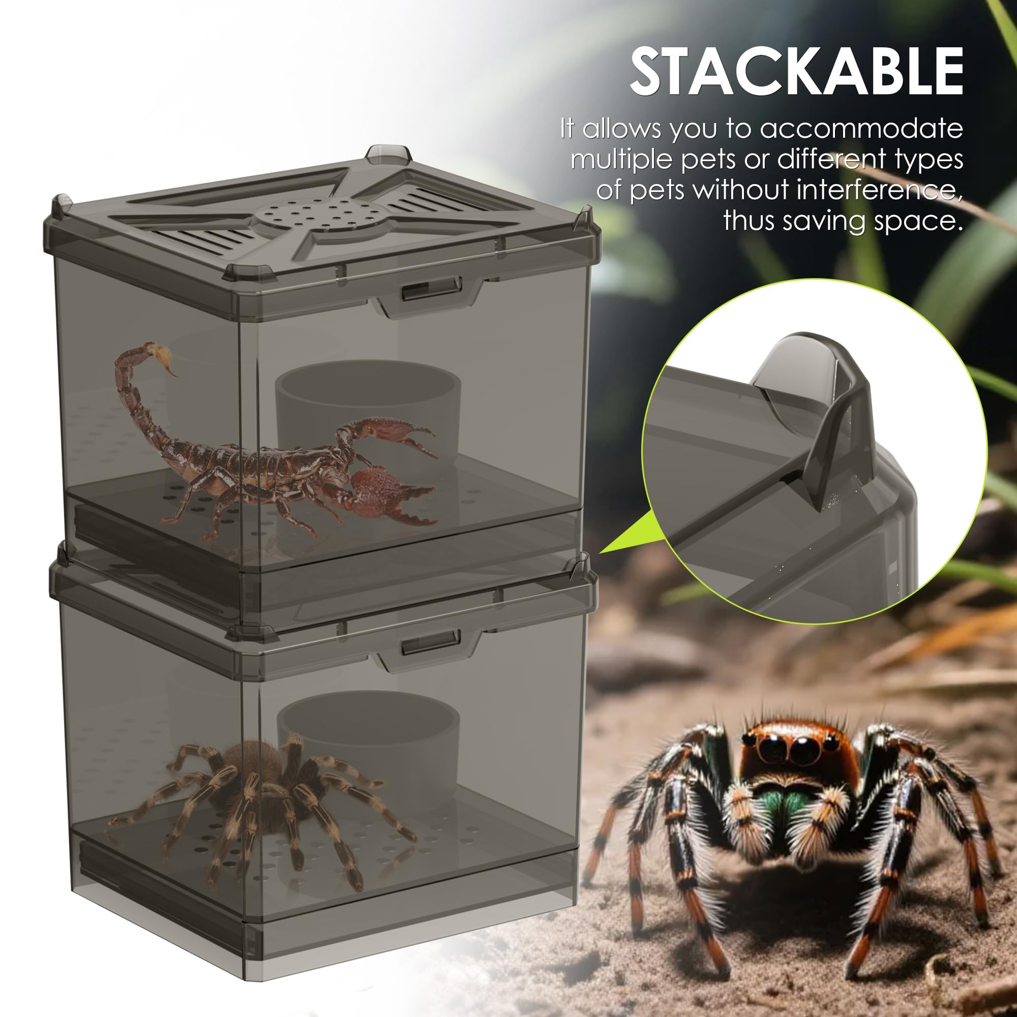 Nomoy Spider Habitat Kit stackable design saves space on shelves