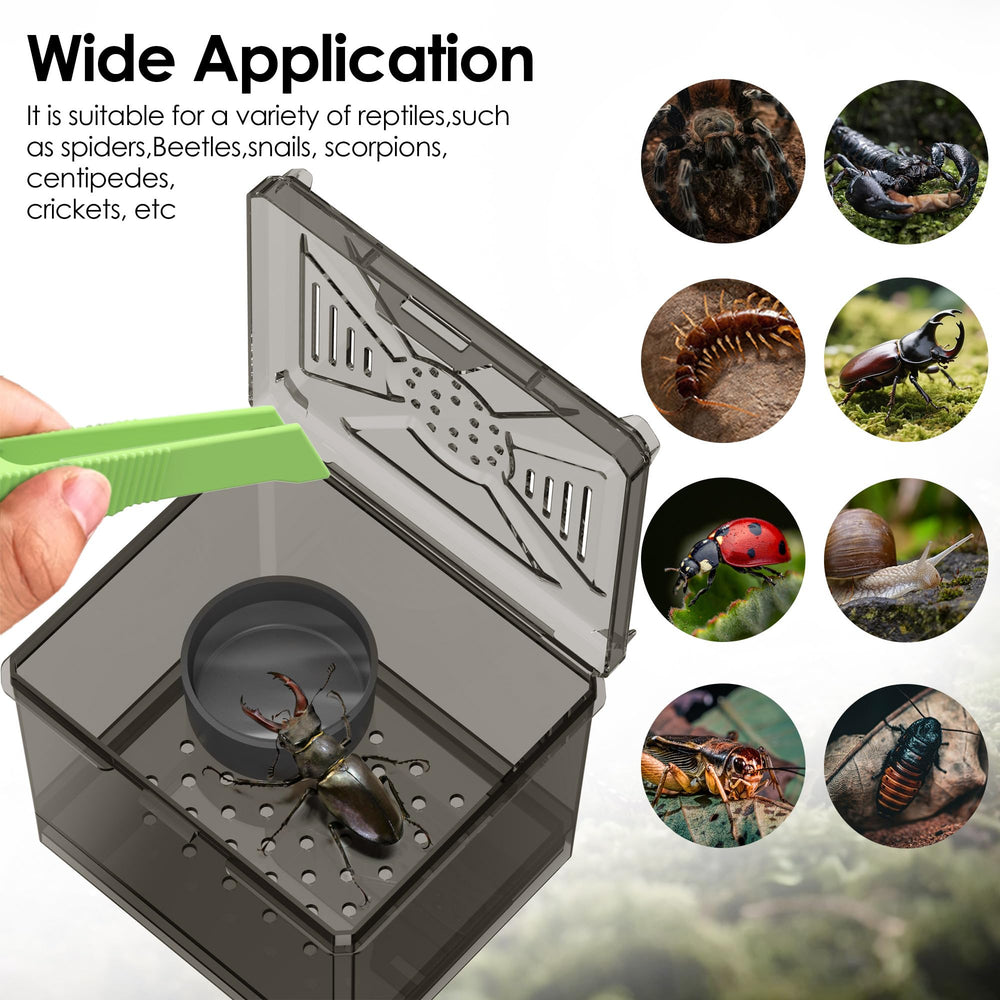 Nomoy Spider Habitat Kit ventilation on top and bottom for improved airflow