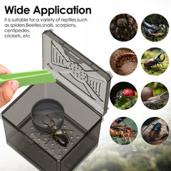 Nomoy Spider Habitat Kit ventilation on top and bottom for improved airflow
