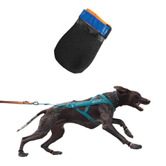 Non-stop dogwear Protector Booties show paw protection on hot pavement for large dogs.
