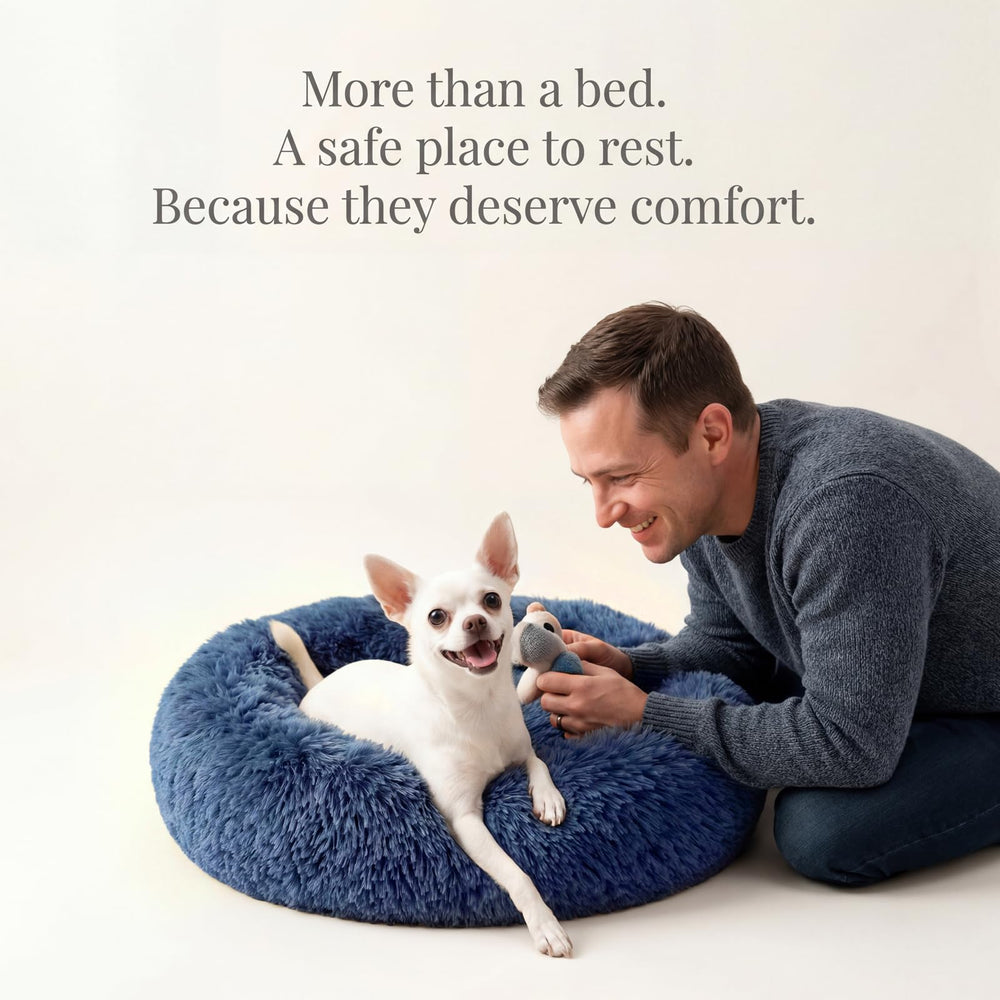 nononfish Calming Donut Bed cat-friendly design supports rest.