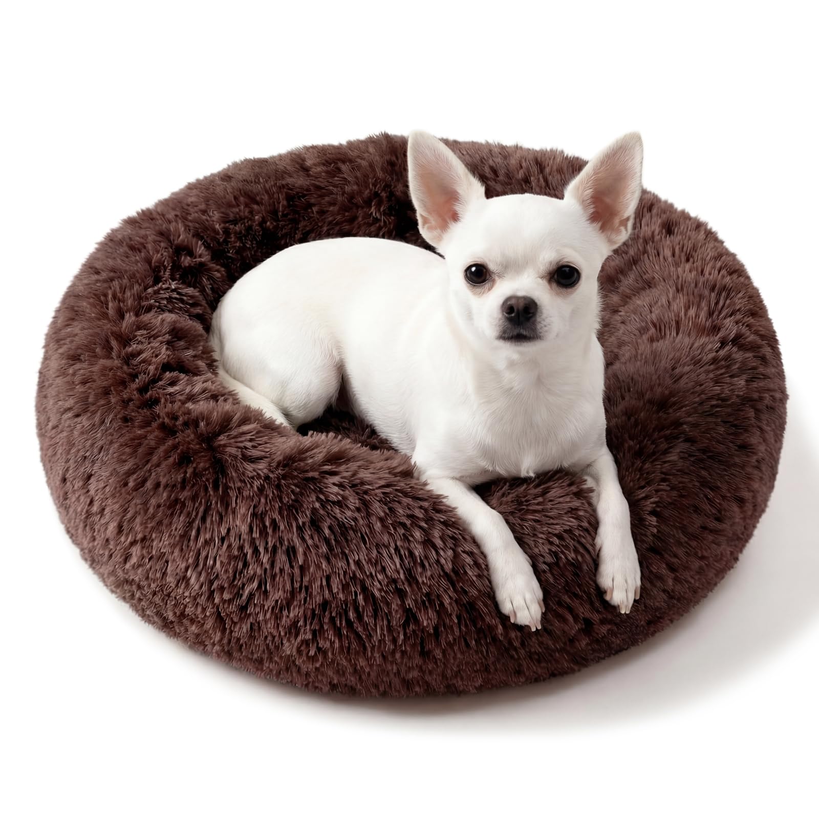 Nononfish calming donut bed with donut shape inviting curling up for security.