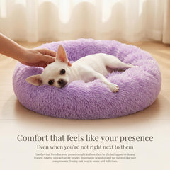 Nononfish donut bed in use, offering cozy security for small dogs.