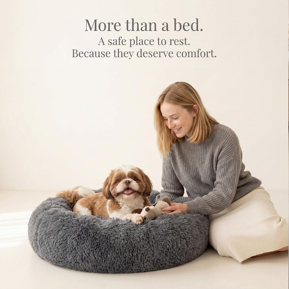 Nononfish dark grey donut bed complements small pet spaces.