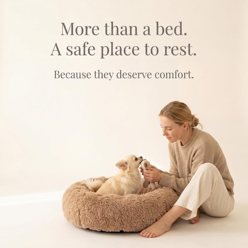 Nononfish pet bed in use offers cozy, secure resting.