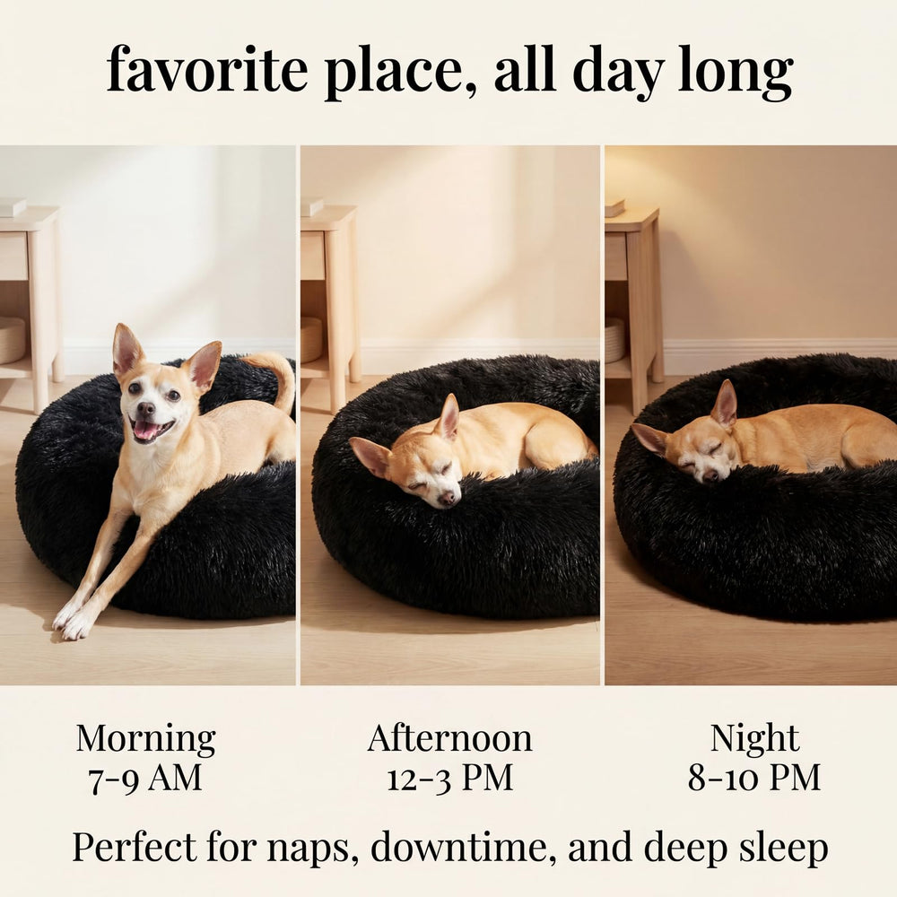 Nononfish calming bed helps dogs curl up and relax