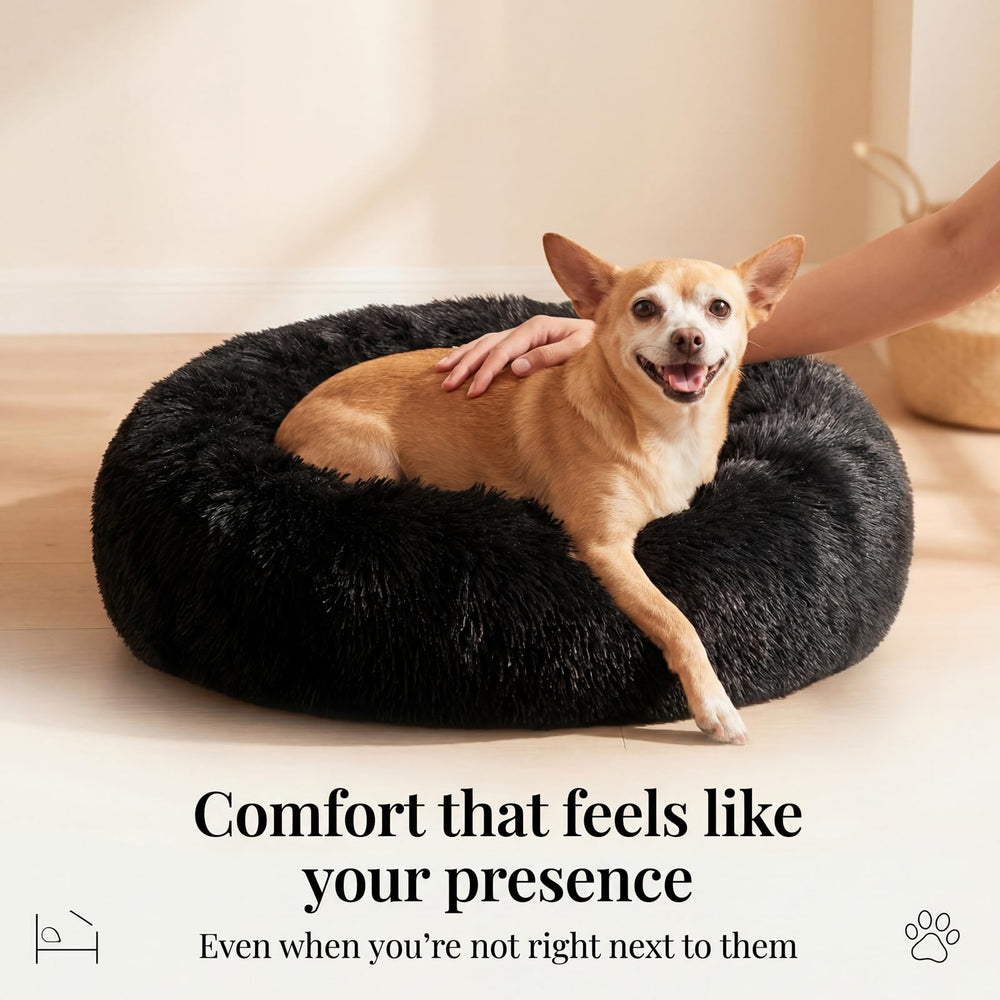 Nononfish small dog bed with bolster, cozy edge support
