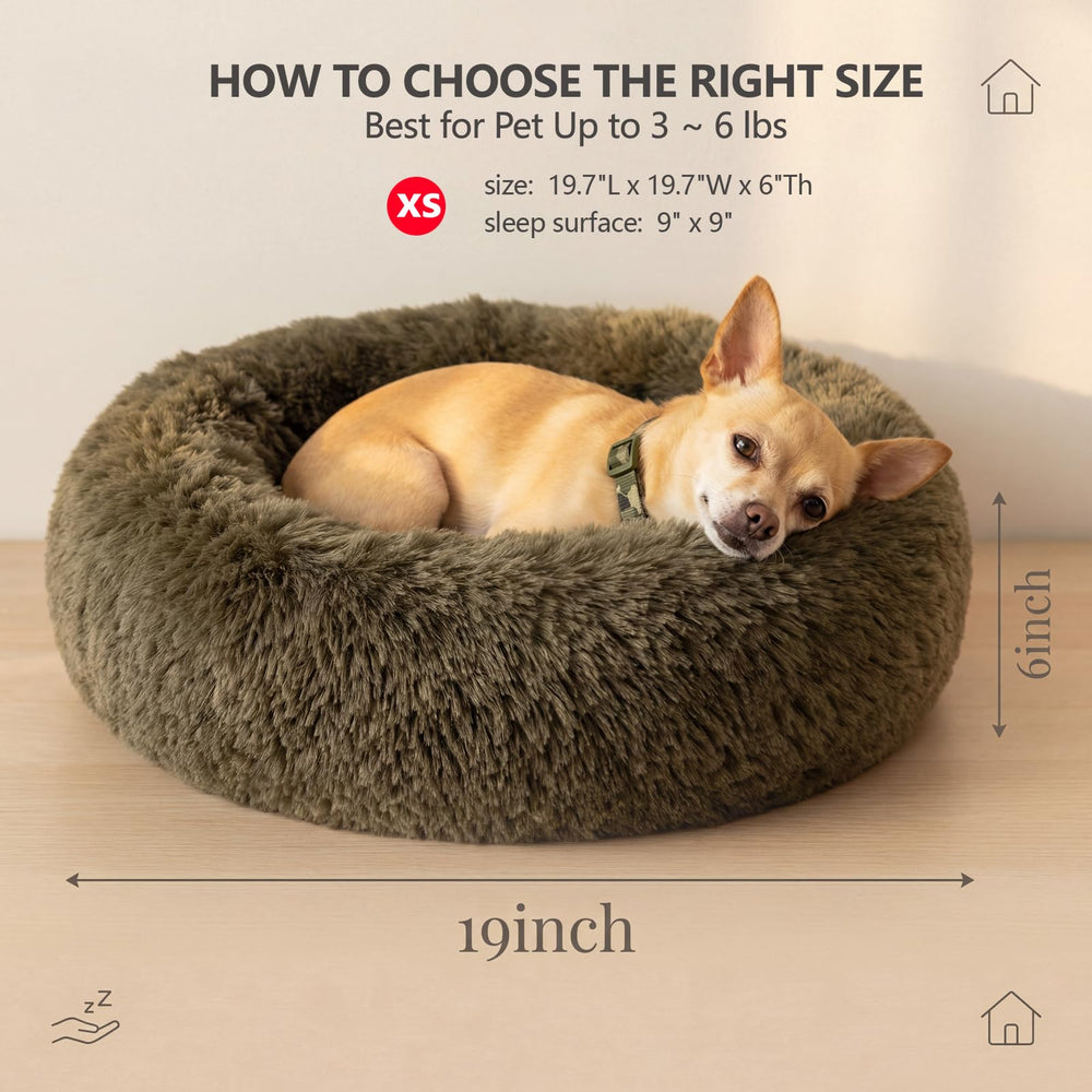 Raised rim on Nononfish bed provides head and neck support for pets