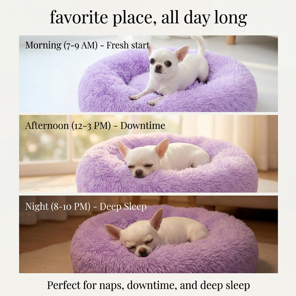 Nononfish size guidance for puppies and toy breeds; consider size up if needed.