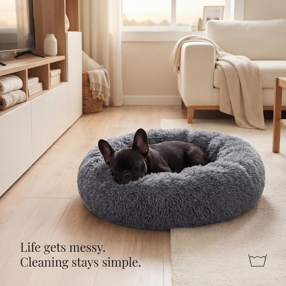 Nononfish small dog bed in use offers creature-comfort for anxious pups.