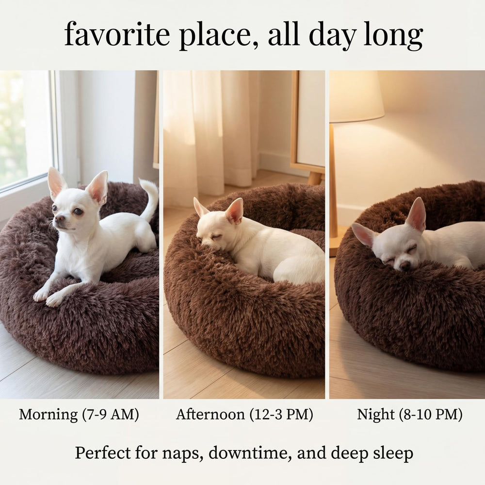 Nononfish small pet bed suitable for puppies and cats up to 15 lbs.
