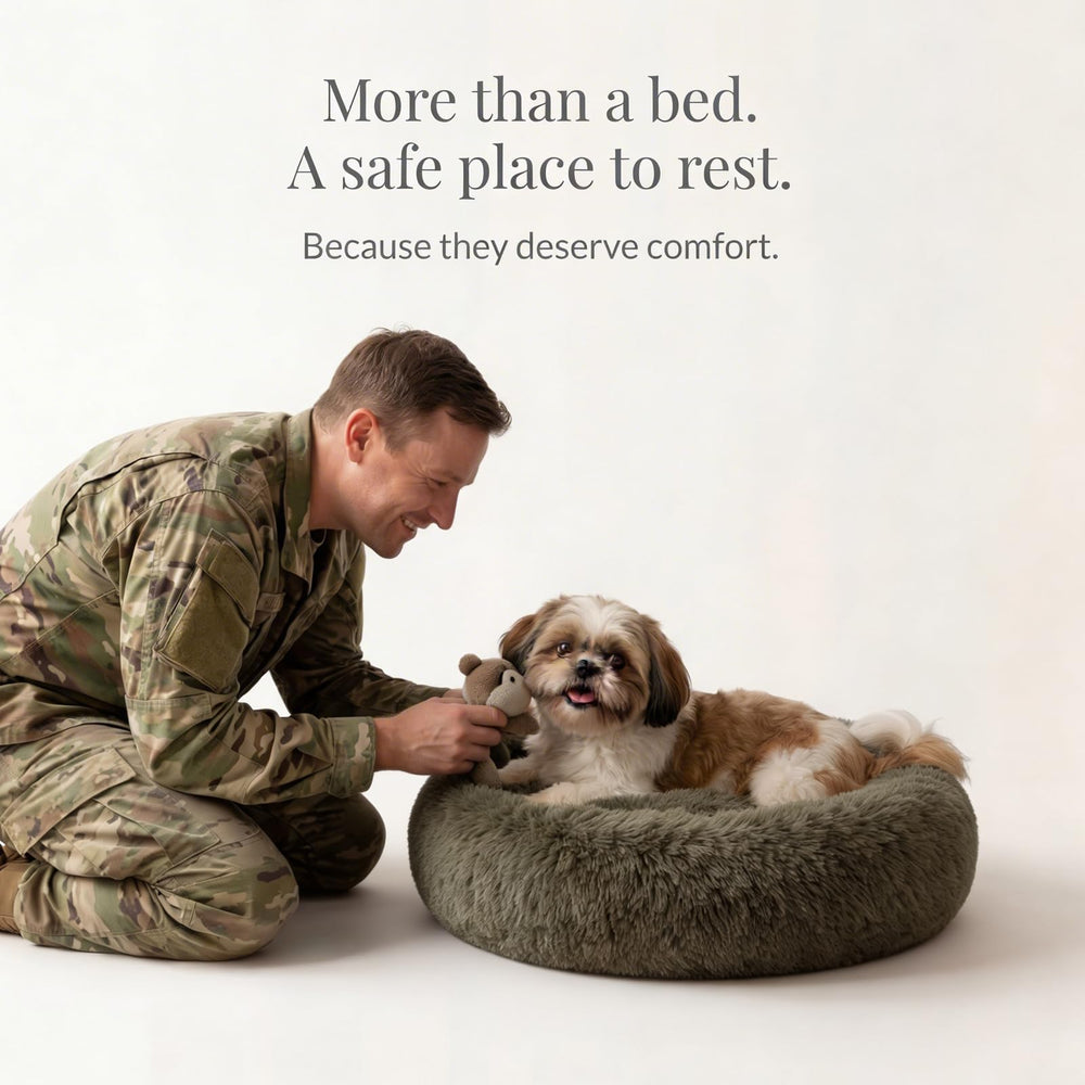 Nononfish bed fits pets up to 25 lbs for small dogs and cats