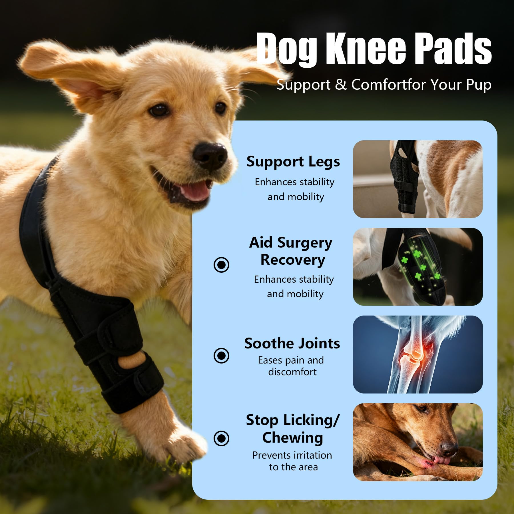 Noorace dog knee brace lightweight design ideal for travel