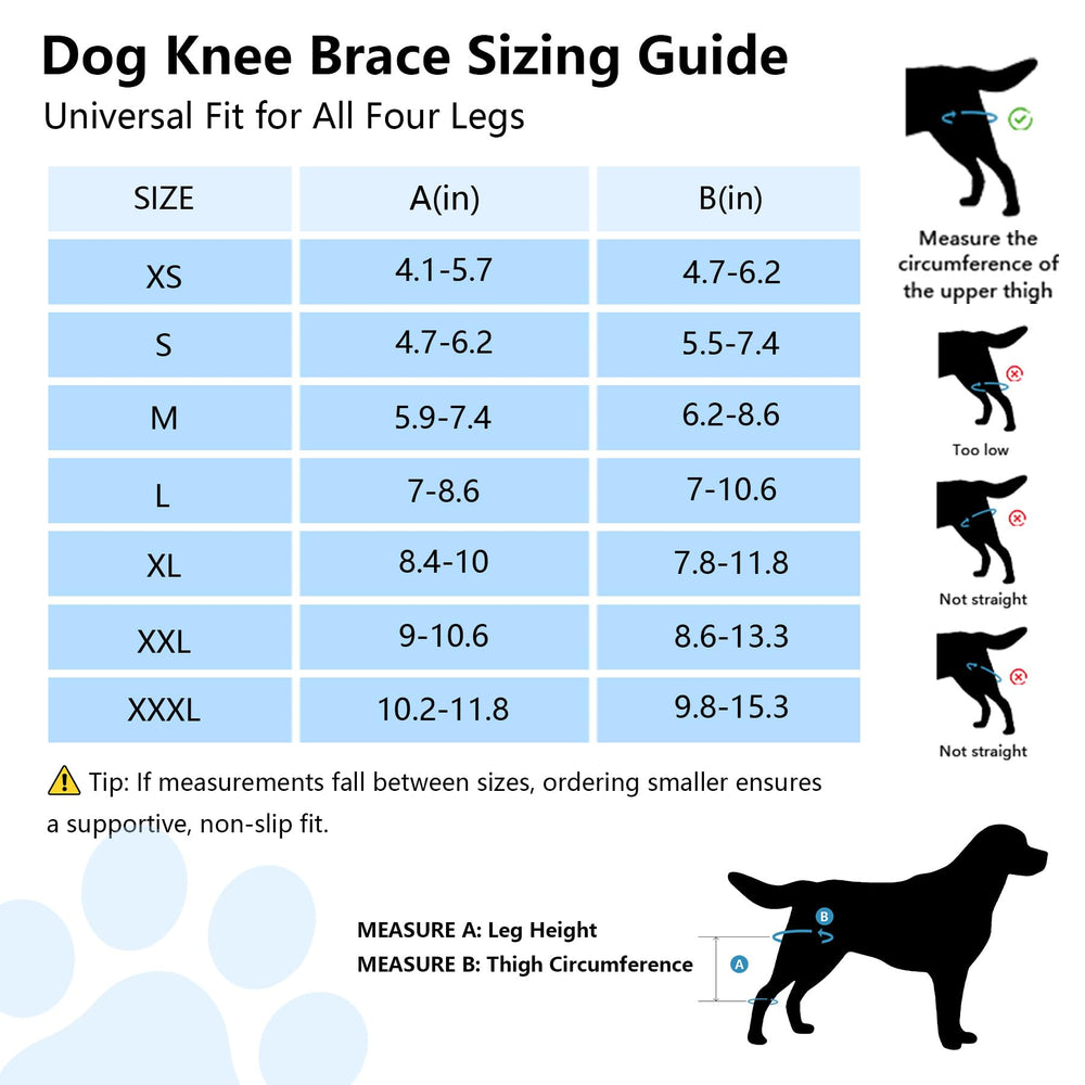 Noorace dog knee brace side view left highlights secure fit for active dogs.