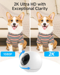 Noorio T110 AI pet monitor alerts when your pet moves
