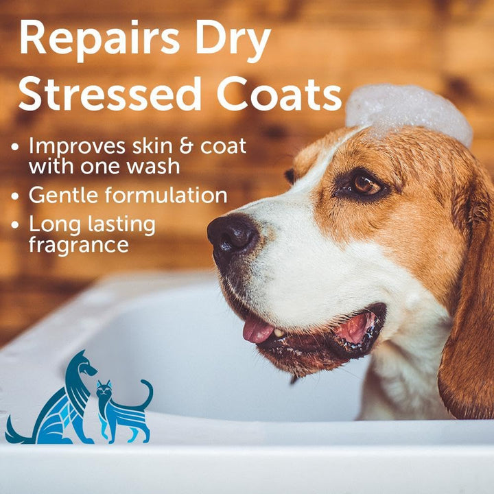 Nootie dog shampoo foaming lather for a clean coat.