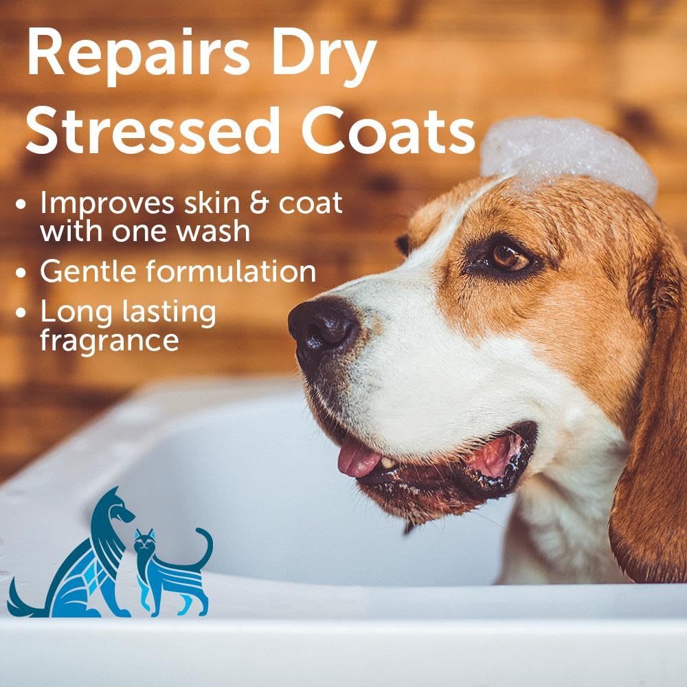 Nootie dog shampoo foaming lather for a clean coat.