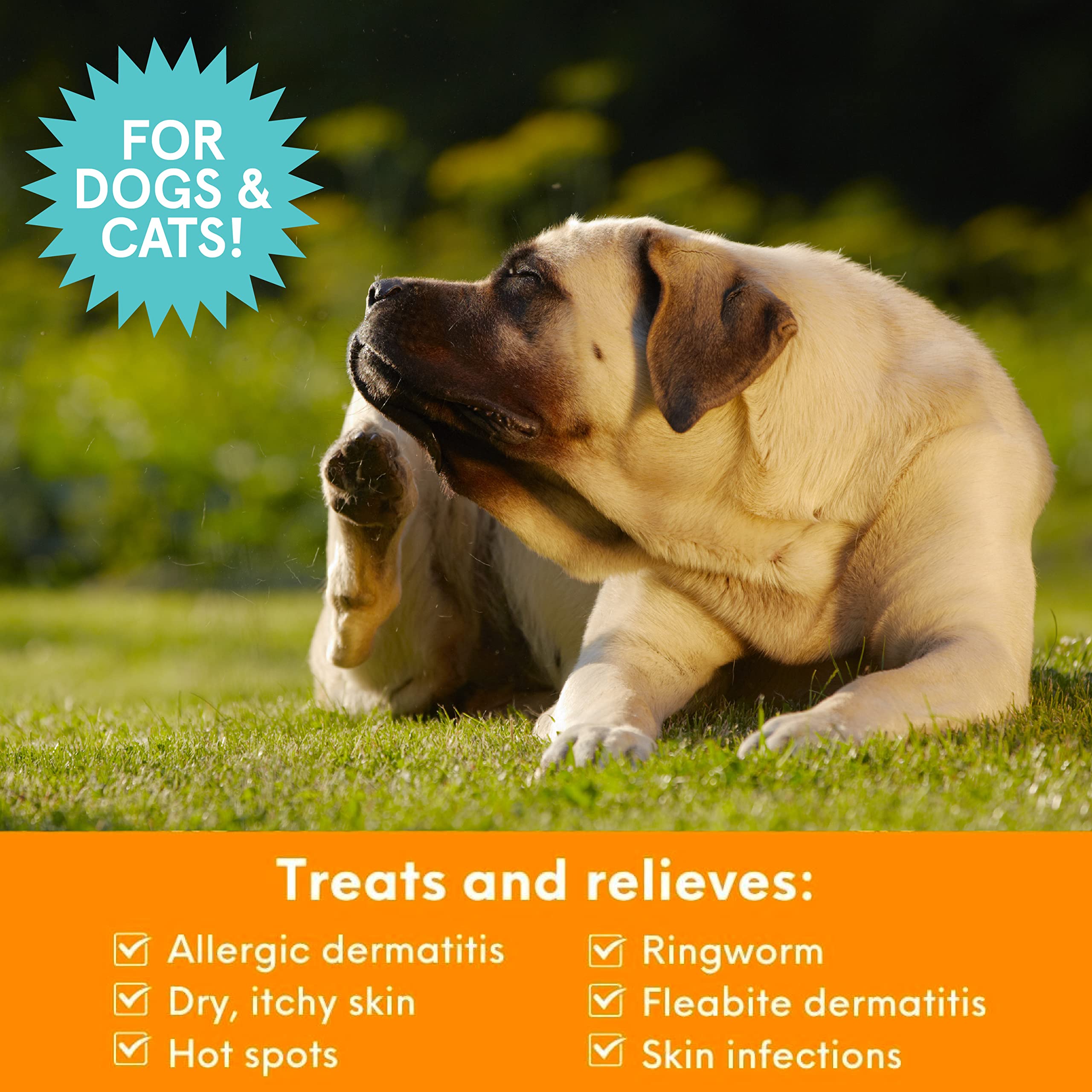 Nootie Medicated Pet Shampoo foamy lather on coat ready for cleansing.