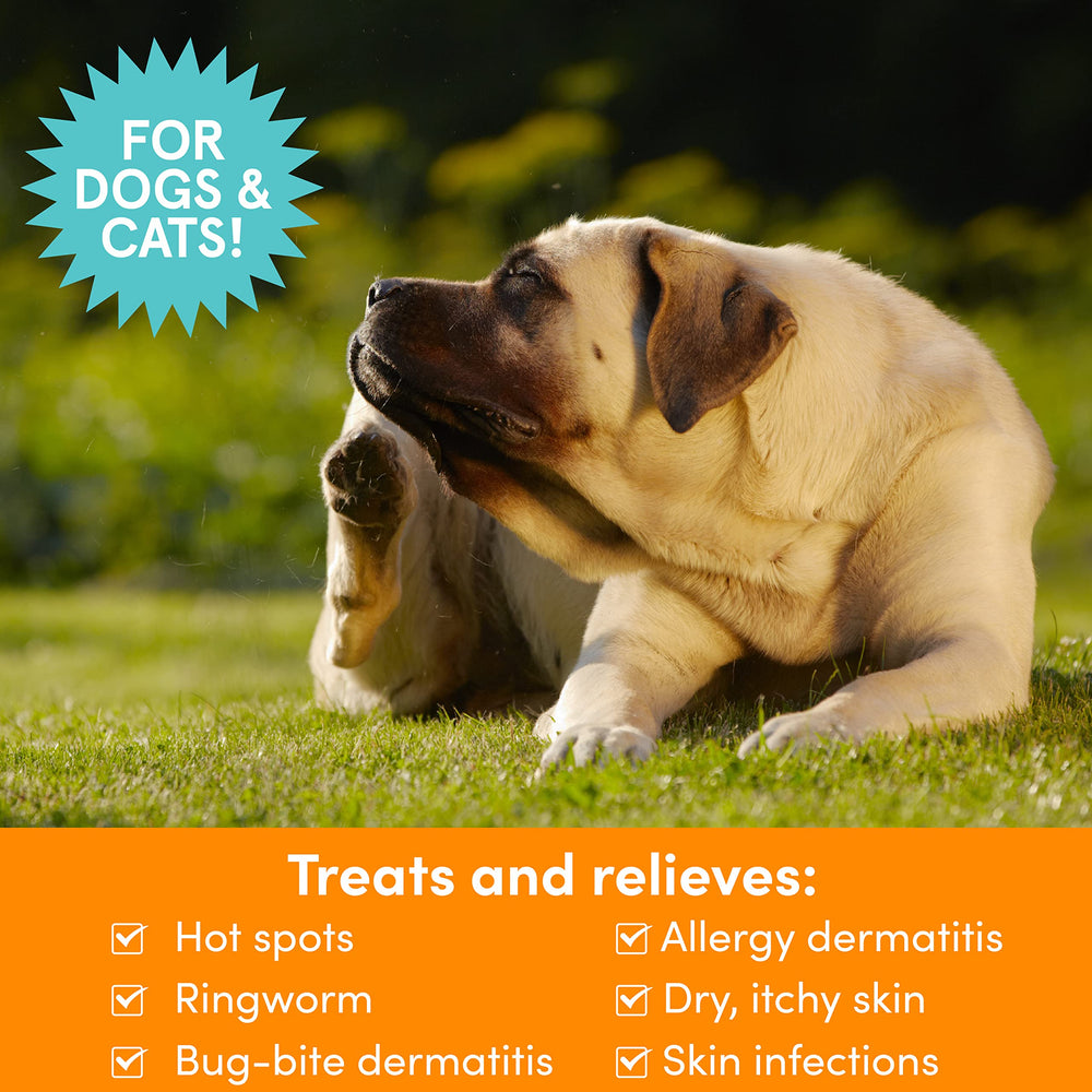 Nootie medicated spray application-between-baths for convenient care.