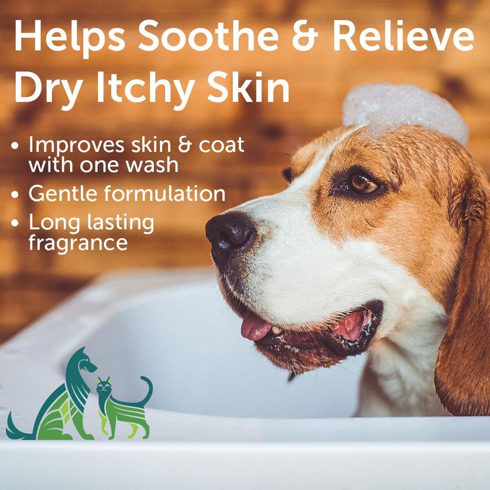 Nootie Oatmeal Shampoo close-up lather for a soft, glossy coat.