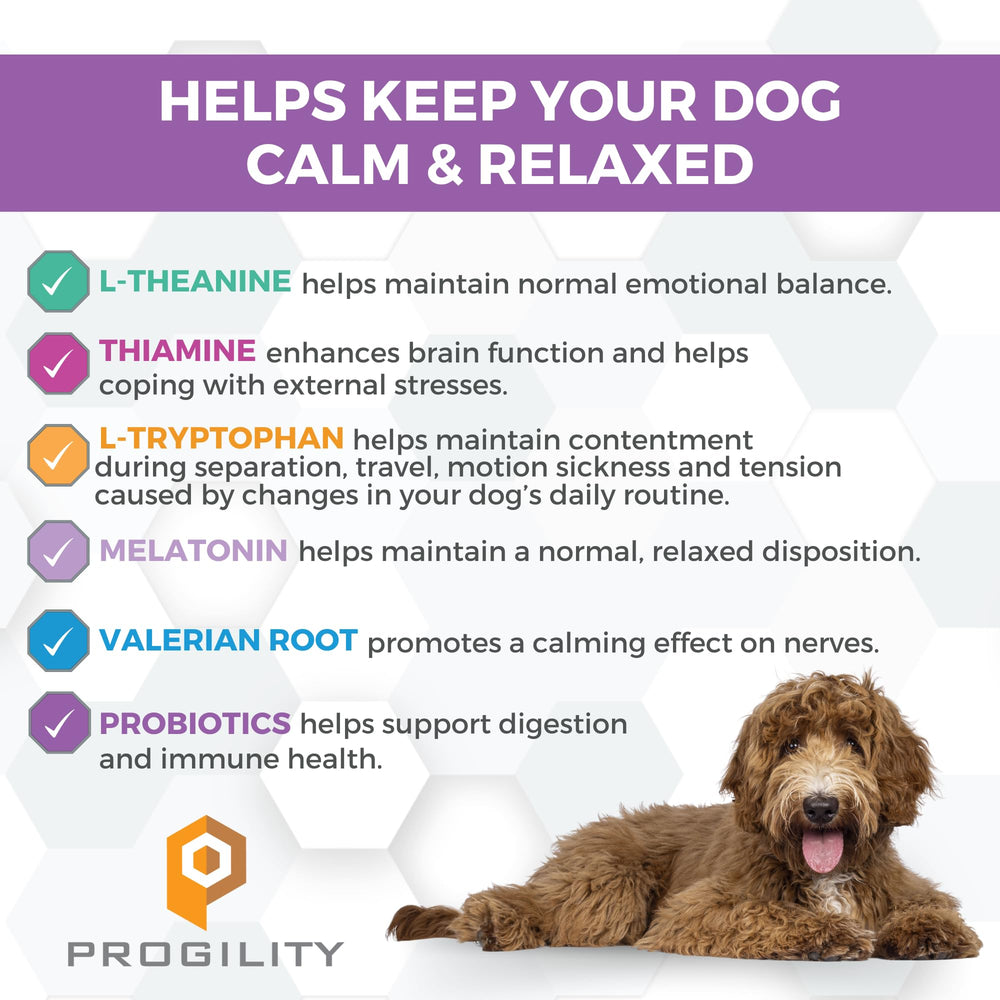 Nootie Progility bacon cheese flavored chews offer tasty daily support for anxious dogs