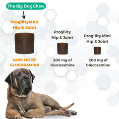 Nootie Progility ingredient list with glucosamine and hyaluronic acid benefits.