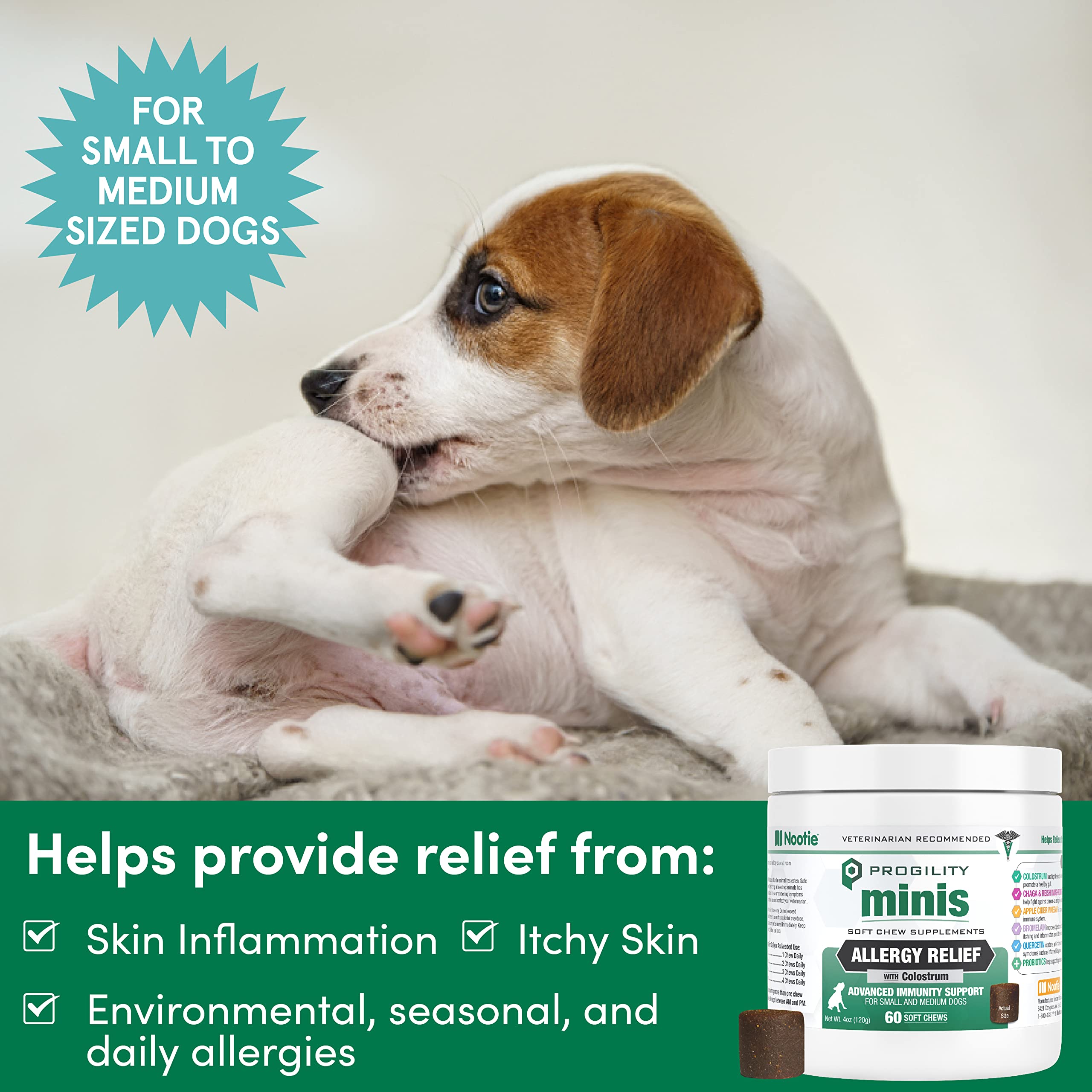 Nootie Progility Mini package showing daily dosing for seasonal allergy care.
