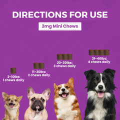 Progility Mini Calming Soft Chews bacon cheese flavor for daily acceptance