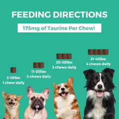 Colostrum and probiotics in Progility Mini for gut and immune support in small dogs