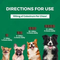 Close-up of a Progility Mini chew showing soft texture for small dogs.