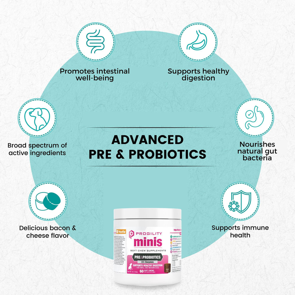 Nootie Progility Mini soft chews aid canine digestion