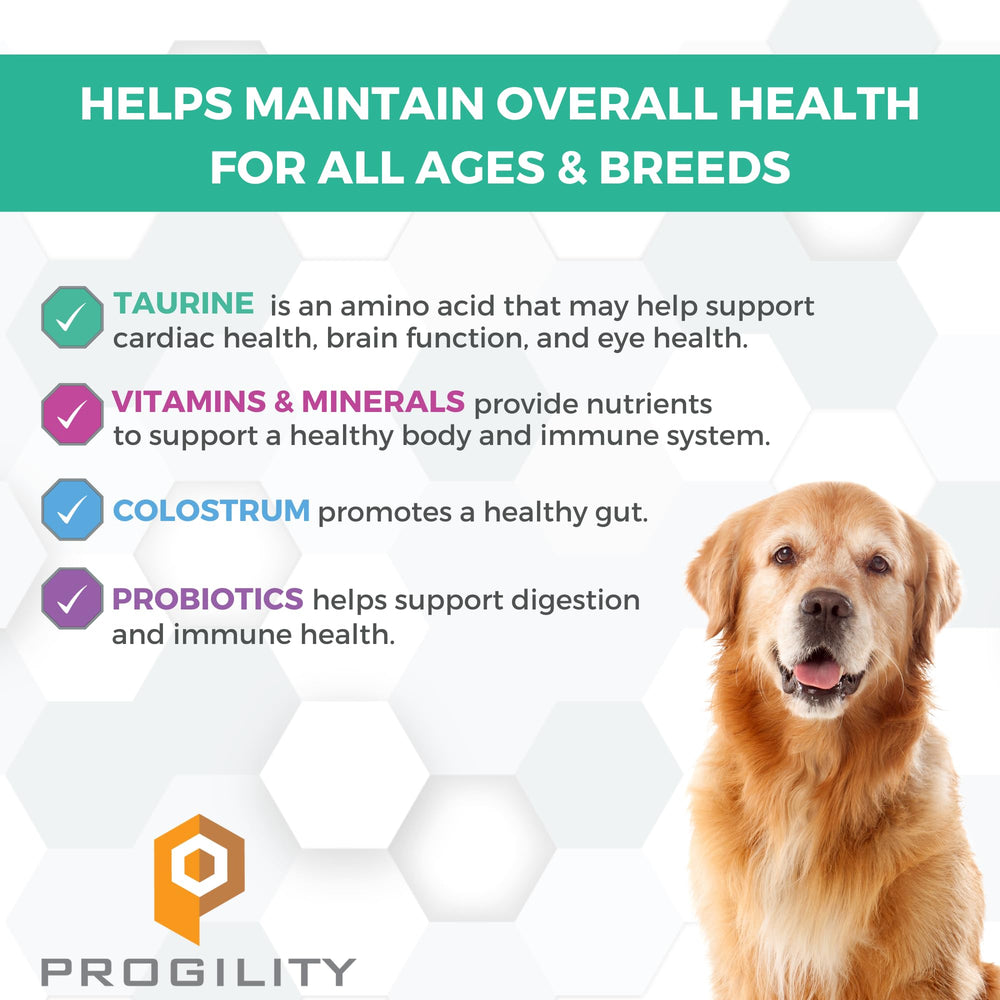 Nootie Progility soft chews bacon cheese close-up demonstrating easy daily nutrition.
