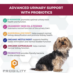 Nootie Progility soft chews closeup highlighting cranberry and D-Mannose benefits for urinary health