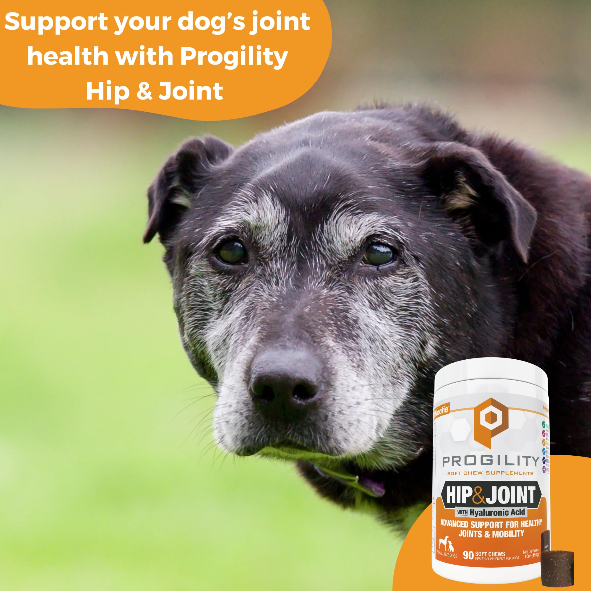 Nootie Progility soft chews on hand highlight easy daily dosing.