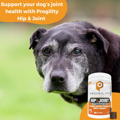 Nootie Progility soft chews on hand highlight easy daily dosing.